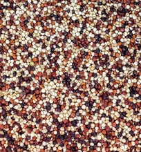 將圖片載入圖庫檢視器 【有幸芽田】穀物雜糧類 - 200g 循環罐裝
